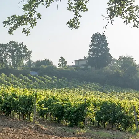 Terra Della Lanterna *